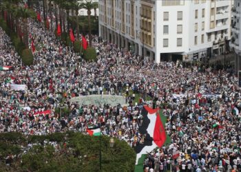 واجب الجامعات تجاه غزة