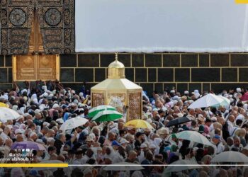 600 وفاة بين الحجاج المصريين والبحث عن المفقودين مستمر