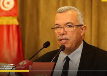 وزير العدل التونسي السابق السابق نورالدين البحيري يدخل في إضراب احتجاجي مفتوح