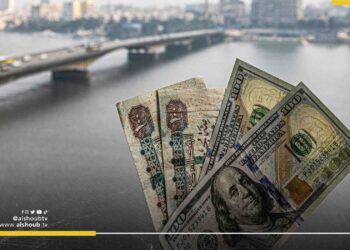 ارتفاع جديد للدولار في مصر