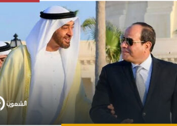 شراكة إماراتية مصرية في مجال الطاقة المتجددة على قناة السويس