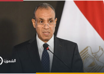 وزير الخارجية المصري يبحث هاتفياً مع نظيره الإيراني التطورات في المنطقة