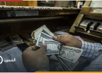 "فيتش سولوشنز": الجنيه المصري يستمر في التراجع حتى نهاية العام