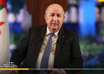 "افتحوا الحدود وسندخل".. الرئيس الجزائري مستعد لإعادة بناء غزة