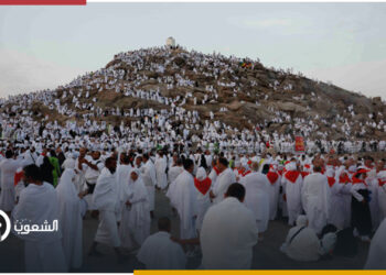 بعد توصيات لجنة "أزمة الحج".. إلغاء تراخيص 36 شركة سياحة 