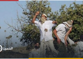 المستوطنون يعتدون على ممتلكات الفلسطينيين في رام الله