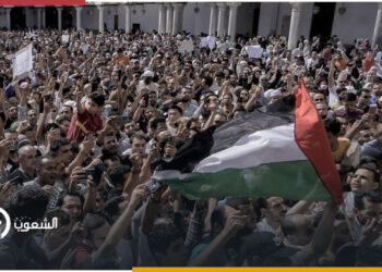 تجديد حبس 173 شابا مصريا بتظاهرات نصرة غزة