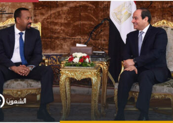 دون جدوى.. حكومة السيسي تحاول الضغط على إثيوبيا عبر التحالف مع دول حوض النيل
