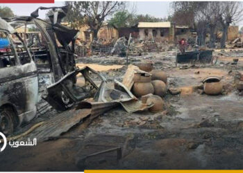 الدعم السريع يتسبب في قتل عشرات السودانيين غرب البلاد