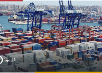 نشطاء مصريين يقدمون بلاغا للنائب العام بشأن سفينة محملة بإمدادات عسكرية لإسرائيل