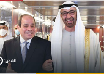 السيسي يبيع 3 شركات بترول للإمارات 