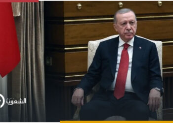 أردوغان: المعارضة السورية تواصل تقدمها نحو دمشق