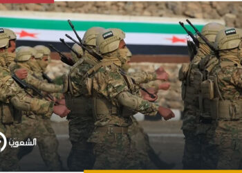 مسؤولة سابقة بالبنتاغون: توسع النفوذ التركي في حلب يضر مصالحنا